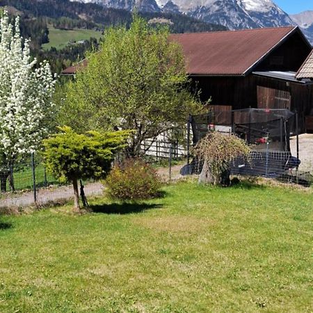 Appartement Winteraugut Werfen Luaran gambar