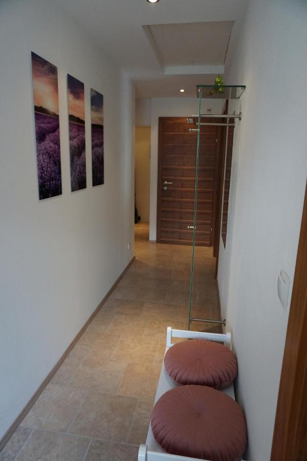 Appartement Winteraugut Werfen Luaran gambar