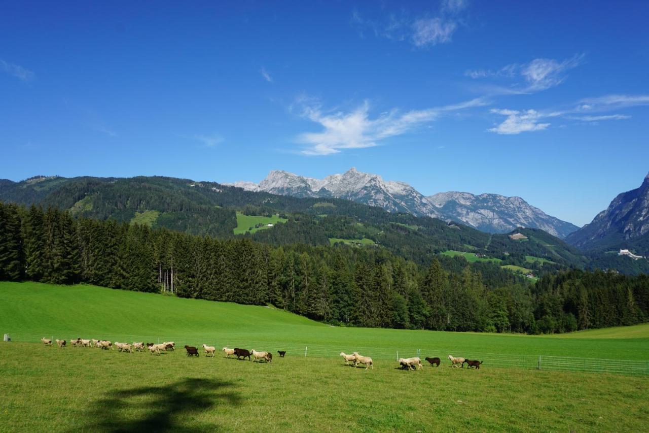 Appartement Winteraugut Werfen Luaran gambar