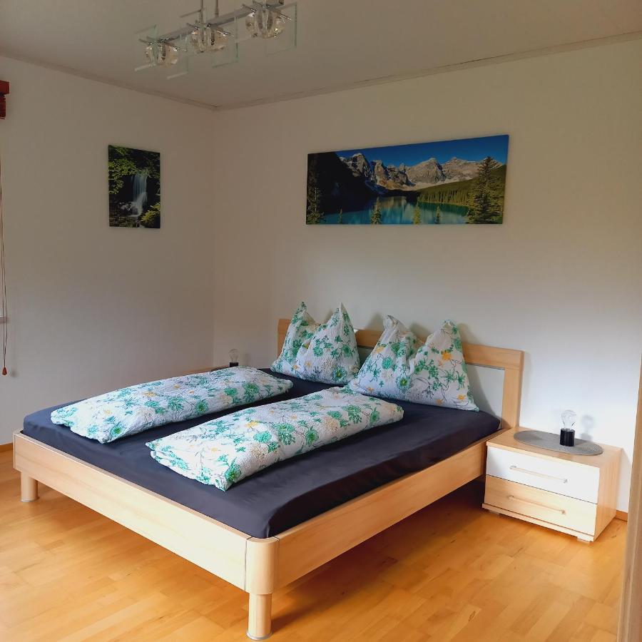 Appartement Winteraugut Werfen Luaran gambar