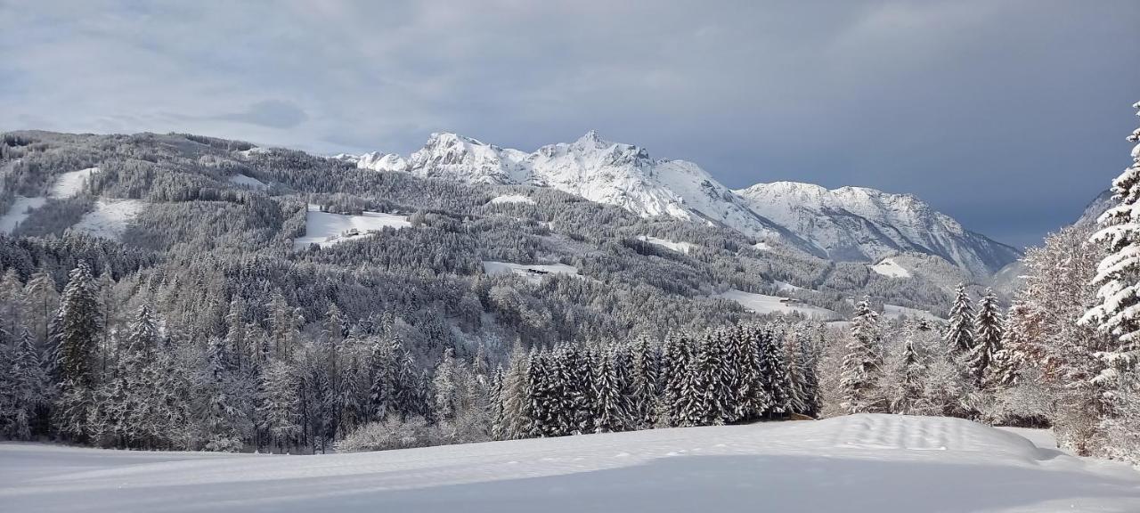 Appartement Winteraugut Werfen Luaran gambar