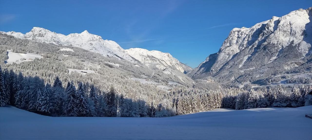 Appartement Winteraugut Werfen Luaran gambar